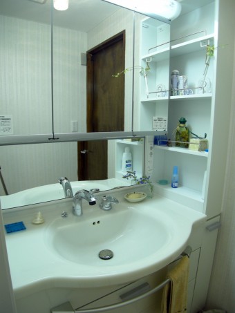 収納量が豊富な洗面化粧台に